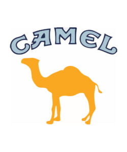 Camel - Cigarettes 10 Packs