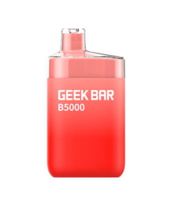 Geek Bar 5000 Puffs
