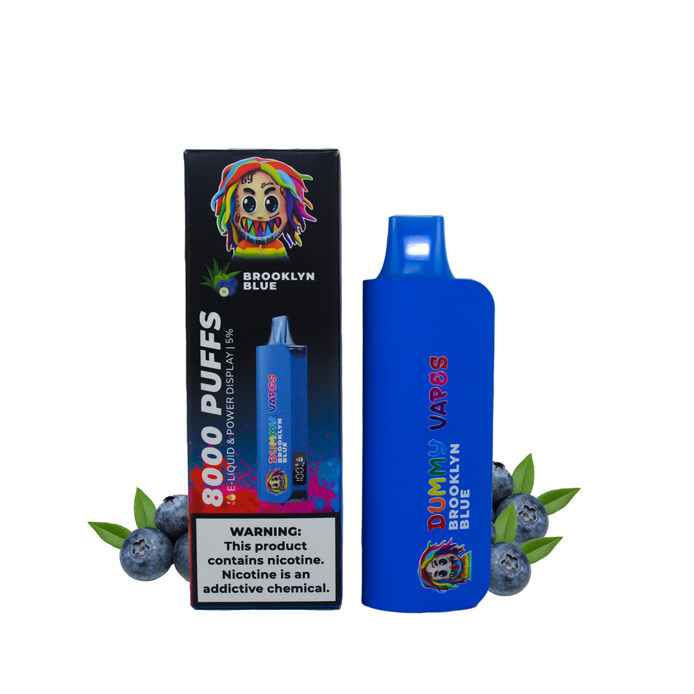 Dummy Vapes 8000 Puffs Vape Master Distributor RZ Smoke Vape