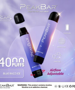 Peak Bar 4000 Puffs 10pk